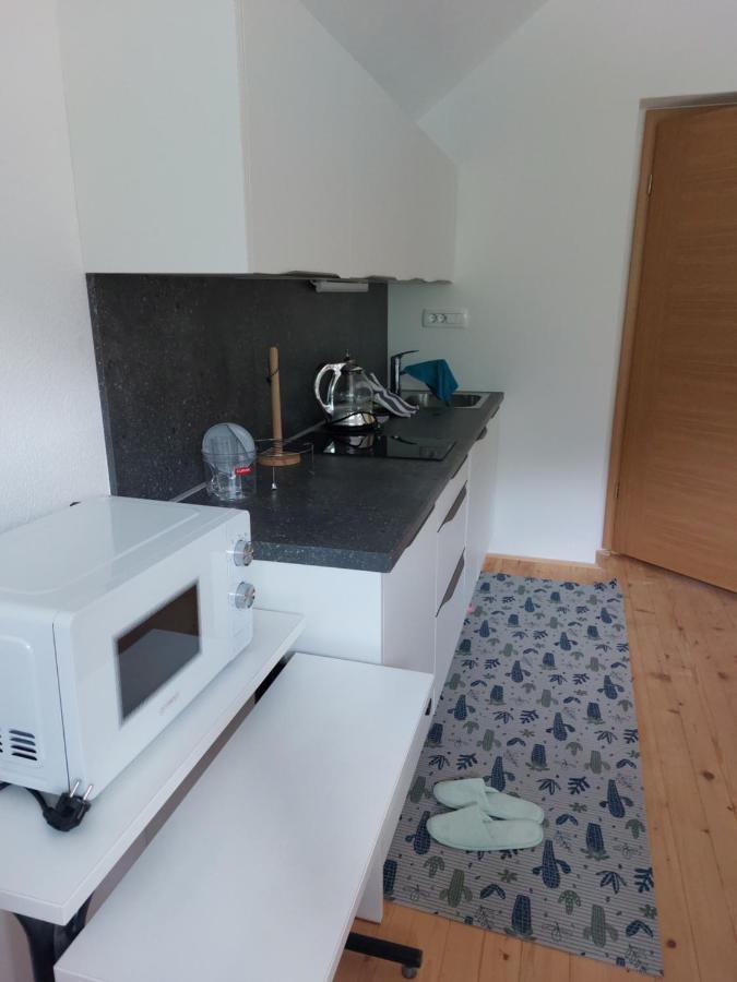 Apartma Sava-Stol Jesenice Exterior photo